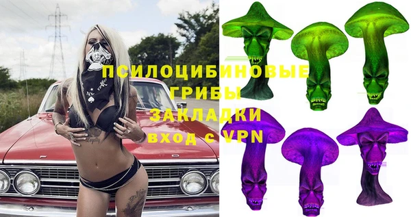 мяу мяу мука Алзамай