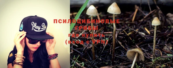 индика Алексин