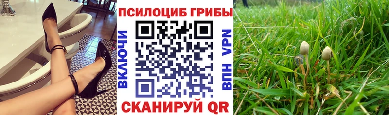 darknet телеграм  Касимов  Галлюциногенные грибы Magic Shrooms  ОМГ ОМГ ONION 