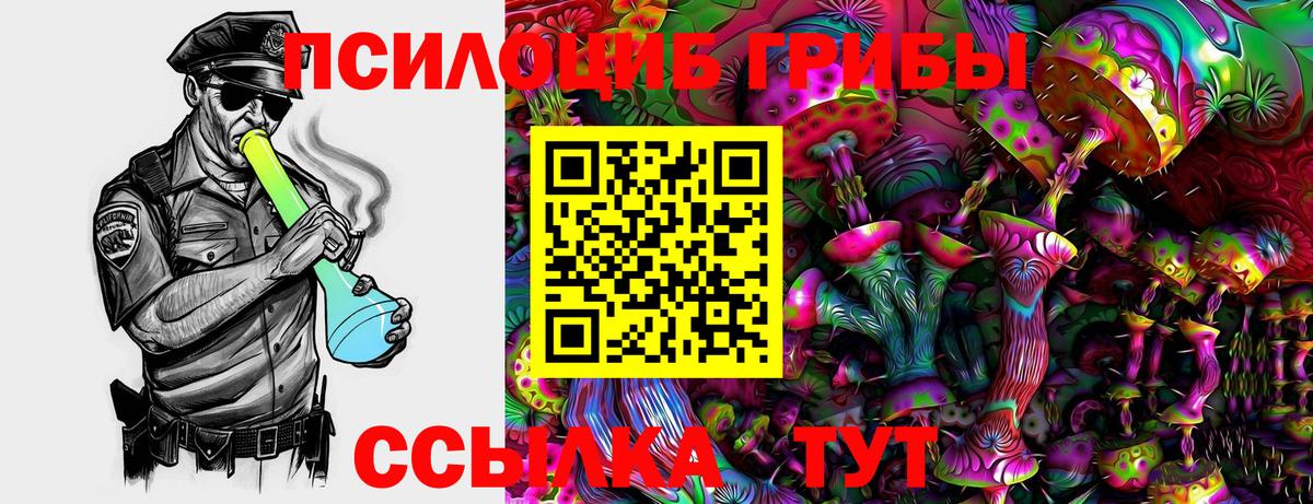 Касимов  Псилоцибиновые грибы Psilocybine cubensis  Вход с VPN 