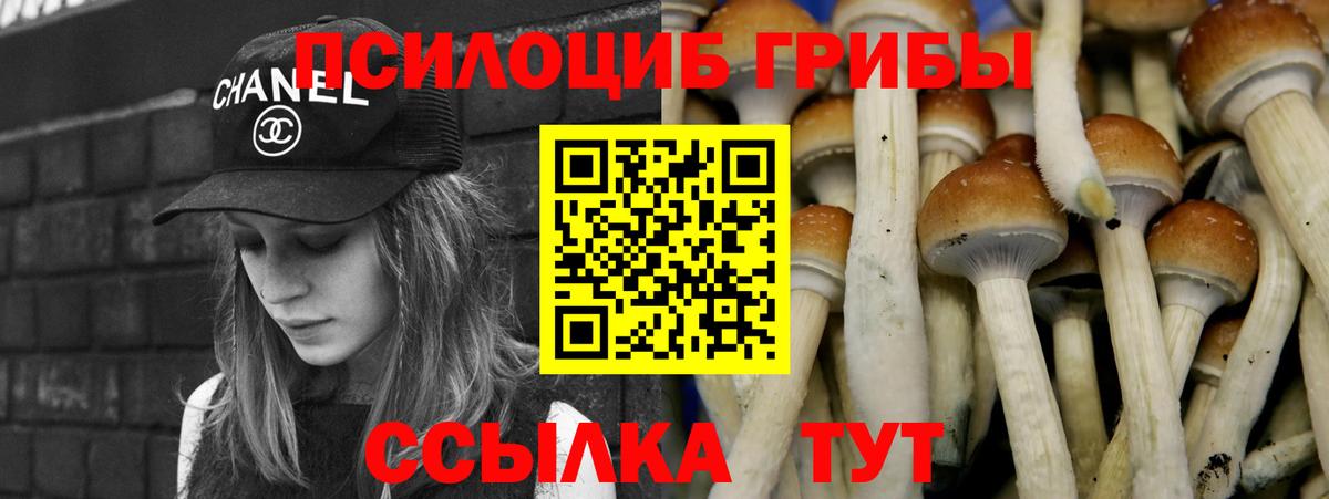 Галлюциногенные грибы ЛСД Касимов